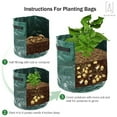 thumbnail image 6 of Gustave 2 Pack Grow Bags Fabric Pots Root Pouch with Handles Flower Vegetable Planting Container Breathable 10 Gallon PE Planter Bags, 6 of 12