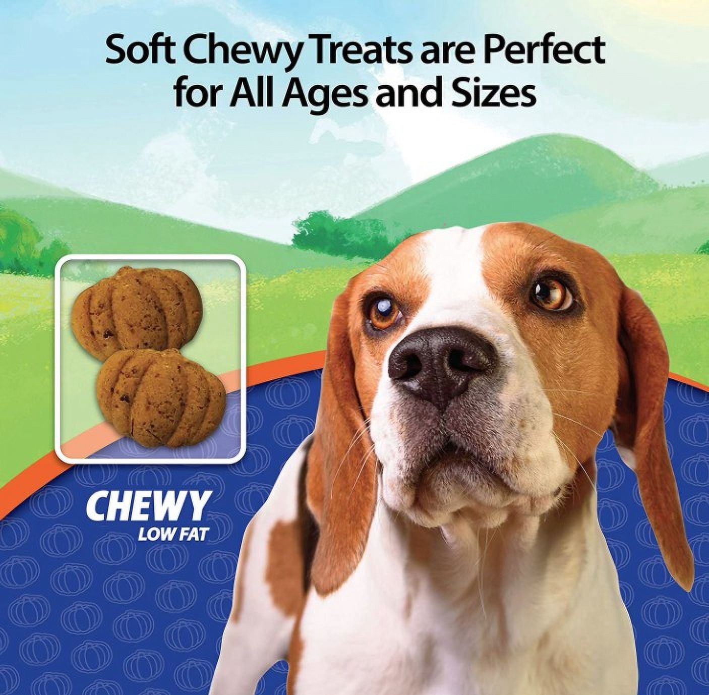 4 Pack Emerald Pet Pumpkin Harvest Oven Baked Dog Treats with Blueberry [USA Dog Treats, Bulk Dog Supplies, Emerald Pet] 24 oz (4 x 6 oz)
