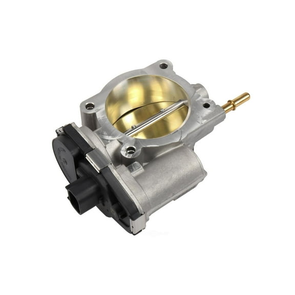 Fuel Injection Throttle Body Assembly