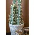 thumbnail image 2 of Nearly Natural 27.5" Decorative Cactus Garden Artificial Plant with Cement Planter, Green, 2 of 7