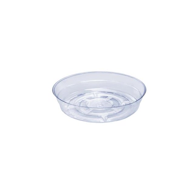 Curtis 5035719 Soucoupe de Plante en Vinyle 5 Po, Transparent