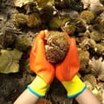 thumbnail image 5 of Children’s Small Orange Gardening Gloves with Hand Protection, by Visland, 5 of 6
