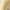 Beige, variant on Aayomet Toddler Training Underwear Girls Girls Toddler Girls Train Briefs Toddler Undies Kids panties (Beige,2-3 Years)
