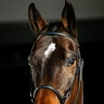 thumbnail image 6 of HORZE Genuine Leather Cross-Under Bitless Bridle | Includes Web Reins with Hand Stops, 6 of 7