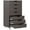 Gris, variante sur Vinsetto Armoire de Classement Mobile avec Tiroirs Armoire de Classement avec Roues Noir