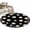 Black, variant on Sky Blue Daisy Flower Washable Small Entryway Area Rugs 2'x3', Farmhouse Floral Summer Country Low Pile Throw Rug Non-Slip Sturdy Edge Binding Carpet for Front Door Floor Room Entry