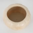 thumbnail image 6 of Mskk 7.1" Vintage Pumpkin Shape Planter Pot, Terracotta & Off White Flower Vase, Fall Halloween Decorative Container for Succulents Porch Table Decor, 6 of 7