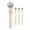 Skin colour, variant on 4-in-1 Magnetic Makeup Brush Set for Women - Professional Foundation, Contour, Eyeshadow Brushes - Portable Travel Makeup Tools