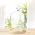 thumbnail image 2 of Clear Glass Display Cloche Dome with Bird Handle Wooden Base, Immortal Flower Glass Cover Large Size Office Home Decoration, 2 of 11