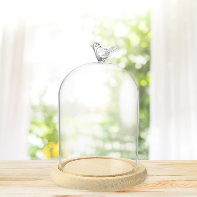 7 Clear Glass Cloche Dome Bell Jar Display Case with Wooden Base