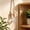 5ml-E, variant on 1 Pc 5ml Hanging Car Air Freshener Diffuser,Empty Clear Glass Essential Diffuser Oil Aromatherapy Fragrance Perfume Pendant Glass Vials with Wooden Caps & Hanging String(E)