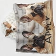 thumbnail image 6 of Naloa Cute Bulldogs Apply Dog Blanket, 3 Sizes Cat Blanket for Indoor Cats Large Medium Small Dog Gifts-Small, 6 of 8