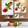 thumbnail image 3 of Red Rose with Stem Drawing - Flower Artwork on Canvas, 3 of 4