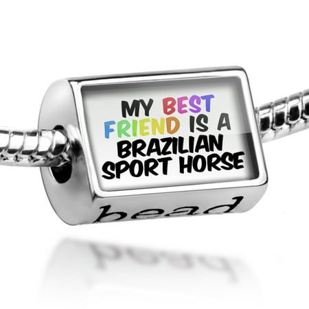 Bead My best Friend a Brazilian Sport Horse Brasileiro de Hipismo, Horse Charm Fits All European