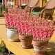 thumbnail image 5 of Simulation Morning Glorys Plastic Flowers Simulation Flower Bouquet Outdoor Holiday Decoration Home Garden Artificial Flower, 5 of 6