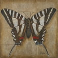 thumbnail image 2 of Pinto, Patricia 15x15 Gold Ornate Wood Framed with Double Matting Museum Art Print Titled - Butterfly I, 2 of 4