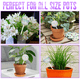 thumbnail image 2 of Vidrio grueso para mayor durabilidad, inserto de maceta de vidrio transparente con riego automático con degradado de arcoíris iridiscente, regalo de jardinería para plantas de interior y exterior,, 2 of 7
