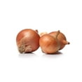 thumbnail image 3 of Texas Early Grano 502 PRR Onion Seeds, 3 of 3