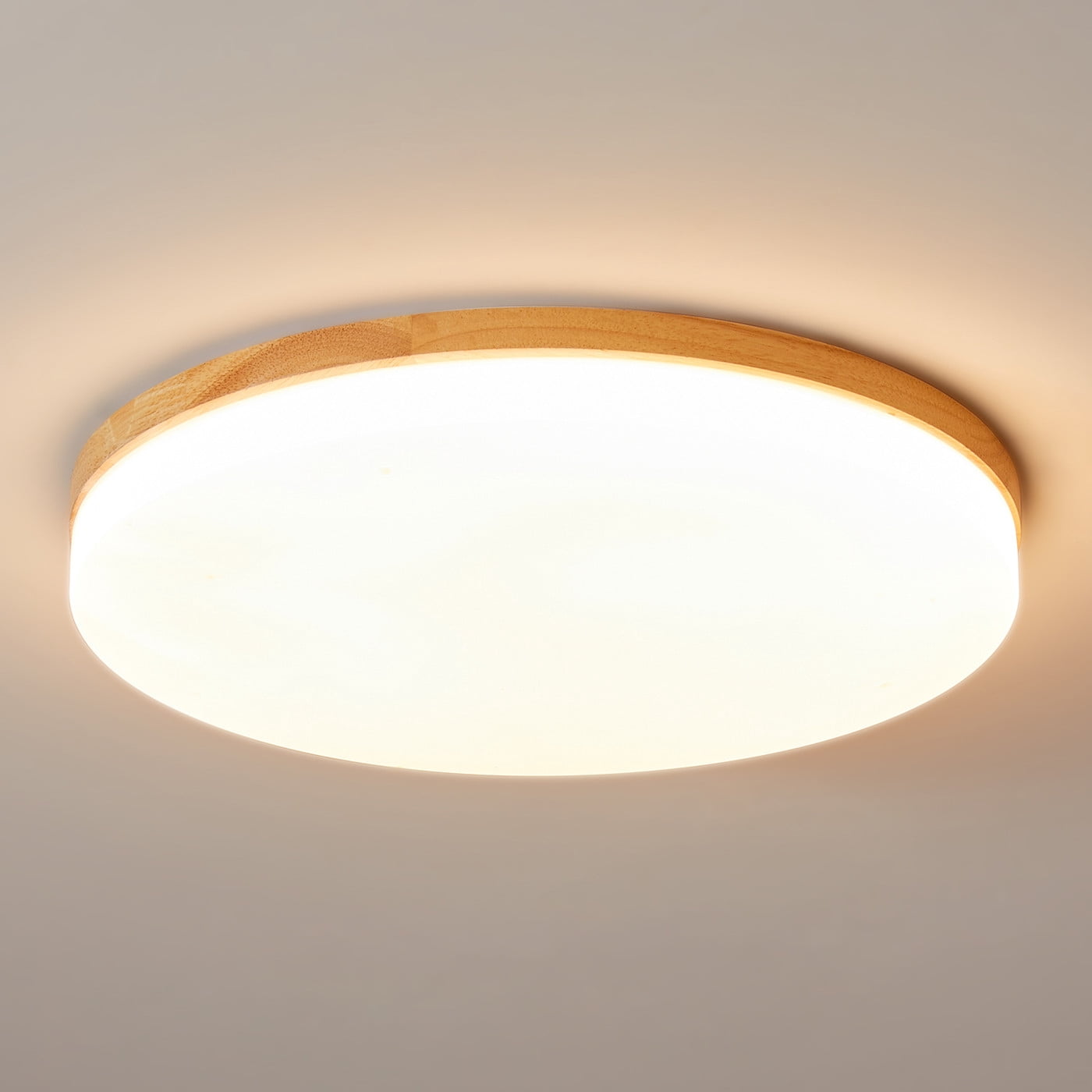 Aiwen Circle Acrylic Flush Mount Ceiling Lamp with Integrated LED Light 24 Watts