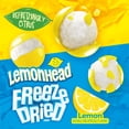 thumbnail image 3 of Lemonhead Freeze Dried Candy, Lemon Flavored, Recloseable Bag 4.0 oz Bag, 3 of 9