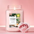thumbnail image 2 of Yankee Candle x Reese’s Book Club, A Fresh Chapter, Spring Scented Candle, Bright Pomelo Scent, Blooming Rose Scent, 22oz Large Jar Candle with up to 150 Hours Burn Time, Giftable, 2 of 4