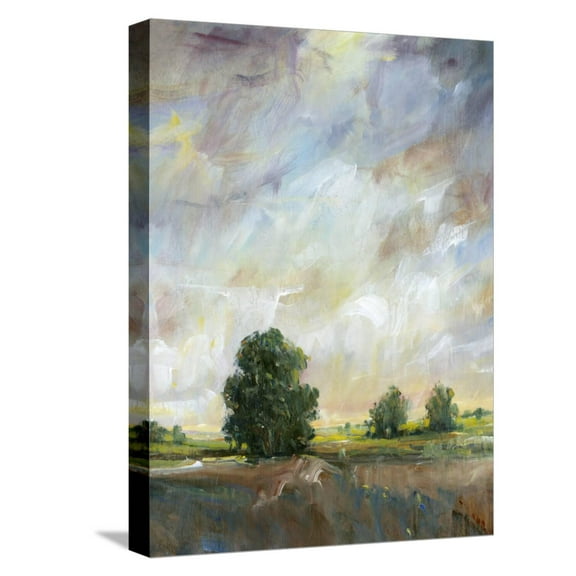 Art.com Amber Glow I Stretched Canvas Print Wall Art by Tim O'toole, 12" x 16"