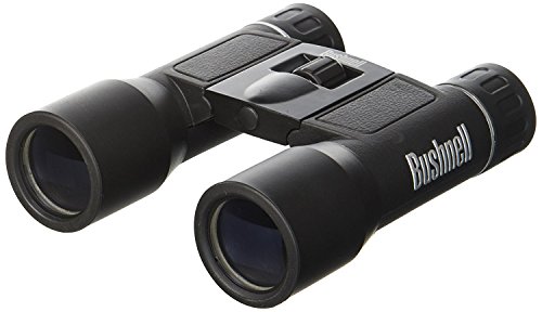 bushnell binoculars 12x25
