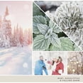 thumbnail image 3 of Yankee Candle Snow Globe Wonderland Small 3.7oz Small Classic Jar Candle, 3 of 3