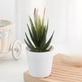 thumbnail image 4 of Artificial Potted Plants with White Plastic Pots for Home and Office Decor, Small Flower Arrangements for Indoor Spaces, 4 of 5