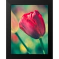 thumbnail image 2 of Quintero, Sonja 19x24 Black Modern Framed Museum Art Print Titled - Tulip Sway II, 2 of 5