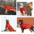 thumbnail image 7 of DENTRUN Windproof Dog Winter Jacket, Fleece Lined Dog Vest for Cold Weather, Reflective Extra Warm Dog Coat with Leash Hole, Dog Winter Outfit for Medium Large Dogs, 7 of 7