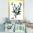 thumbnail image 3 of Designart 'Ancient Green Leaves Plants VIII' Traditional Framed Art Print, 3 of 4