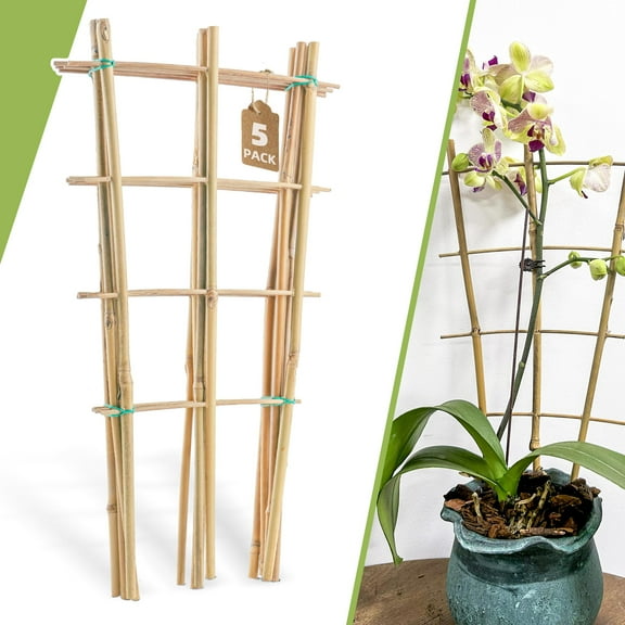 16 Inch Bamboo Trellis for Climbing Plants, Natural Fan Shaped Garden Ladder Support for Potted Vines Flowers Vegetables Indoor Outdoor Decor, Beige