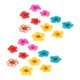thumbnail image 4 of 20 piezas de flores secas prensadas Zhivalor Color mezclado, 4 of 8