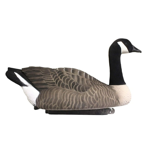 Dakota Decoys X-treme Fully Flocked Floater Canada Goose Decoys 6PK