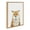 Natural, variant on Kate and Laurel Sylvie Animal Studio Fox 3 Framed Canvas Wall Art by Amy Peterson Art Studio, 18x24 Natural, Whimsical Fun Animal Nursery Art for Wall