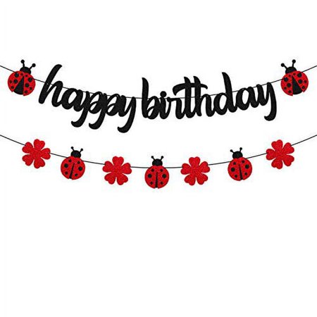 Ohiviaaa Ladybug Birthday Party Decorations Ladybird Happy Birthday Banner for Ladybeetle Themed Little Girl Kids 1st 2nd First One Year Old Baby Shower Bday Party Supplies Black Décor