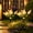 pink, variant on Maspost Solar Pink Violet Garden Stake Lights, 2 pack 6-Head LED Warm White Outdoor Flower Lights for Yard, Lawn, Patio