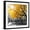 Black Frame, variant on Art.com Park Pretty II Photographic Print by Assaf Frank, 16" x 16"