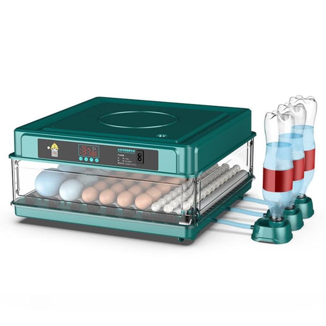 de huevos inteligente automática Herramienta de incubación de huevos para incubar de huevos extraíble Máquina de incubac 64huevos Salvador Incubadora automática de huevos