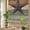 Brown Sage Green, variant on Rainbow Window Privacy Film, Texas Star Red Static Cling Decorative Window Film PVC, Farmhouse Berry Wooden Vintage No Glue UV Blocking Glass Covering, Removable Stained Glass Sticker 23.6''x59''