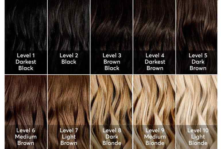 Diy 8 Level Hair Bleach Lightening Kit Tiendamia Com