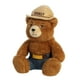 thumbnail image 5 of Peluche Aurora Iconic Smokey Bear Brown 25 cm, 5 of 5