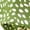Green, variant on FRSASU Summer Polka Dot Dress for Women V Neck Short Sleeve Midi Shirt Dress Button Down Drawstring Waist Dresses Yellow