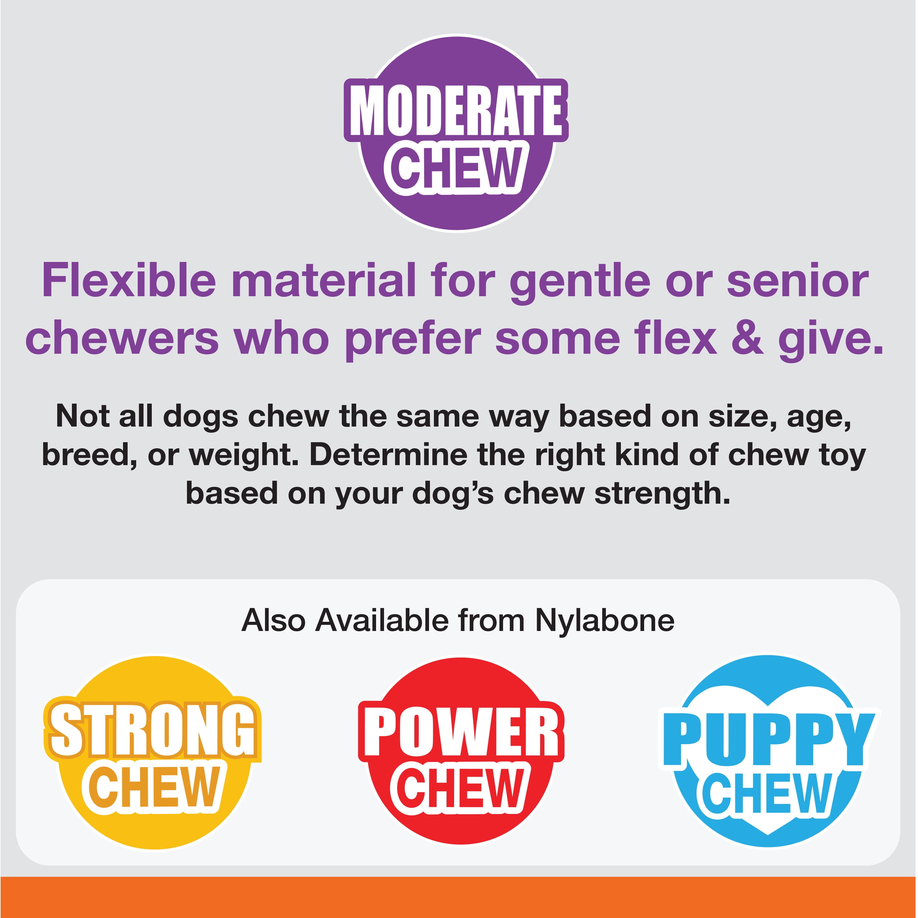 Nylabone® Essentials Small Dog Dental & Chew Toy Bones, 3 ct - Harris Teeter