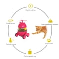 thumbnail image 5 of Indoor cat interactive cat laser toy, automatic cat laser toy USB, 5 of 5