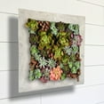 thumbnail image 4 of Modern Home Living Wall Galvanized Steel/Zinc Succulent Planter (Aged Zinc, 16 Pocket), 4 of 7