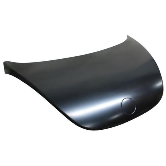 Cofre TYG Volkswagen Beetle 2006-2011 Wld