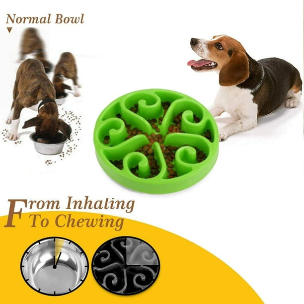 Medium 2024 dog bowls
