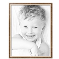 ArtToFrames 17" x 22" Taupe with Silver Lip Picture Frame, 17x22 inch Multi Wood Poster Frame (WOM-4986),  Pack
